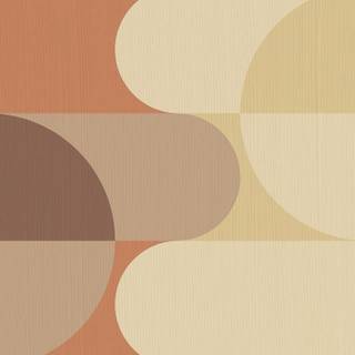 Minimalist circles and lines neutral tones wallpaper