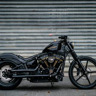 Harley Davidson Bobber wallpaper