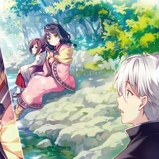 Seirei Gensouki Spirit Chronicles wallpaper