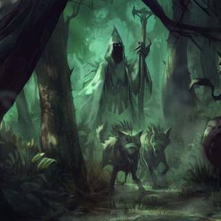 Forest witch wallpaper