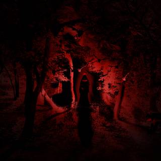 Forest witch wallpaper