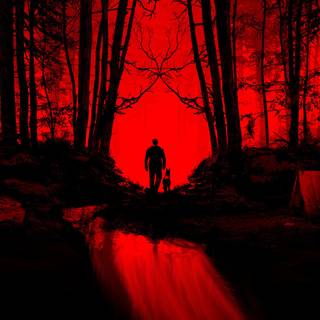 Forest witch wallpaper