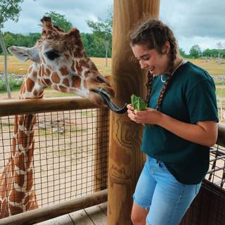 Riley Rehl wallpaper