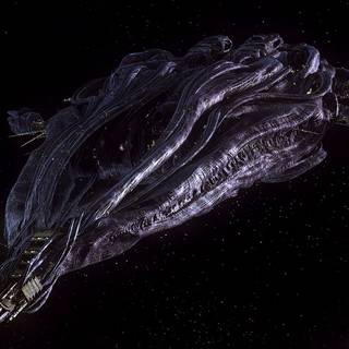 Stargate Atlantis computer wallpaper