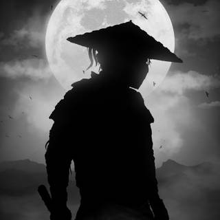 Warrior iPhone wallpaper