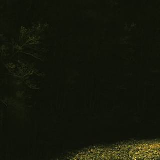 Knocked Loose desktop wallpaper