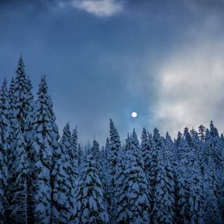 Winter night 5k wallpaper