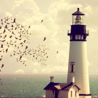 4k lighthouse autumn wallpaper