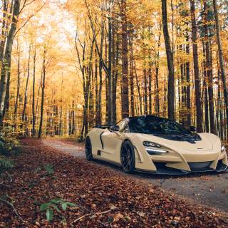 McLaren autumn wallpaper