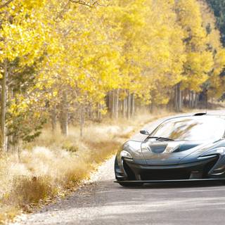 McLaren autumn wallpaper