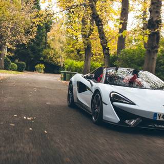 McLaren autumn wallpaper