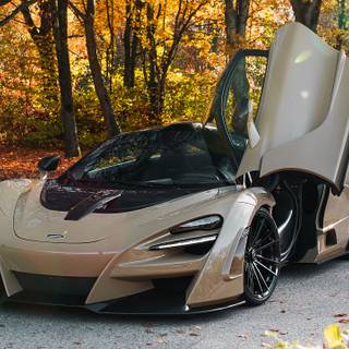 McLaren autumn wallpaper