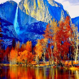 Autumn trees mobile wallpaper