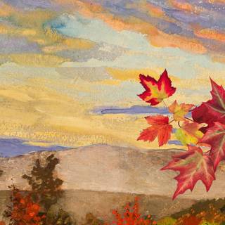 Autumn trees mobile wallpaper