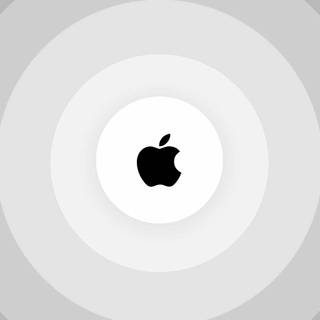 Apple logo 2024 wallpaper