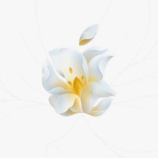 Apple logo 2024 wallpaper