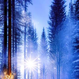 iPhone nature winter wallpaper