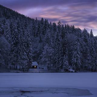 iPhone nature winter wallpaper