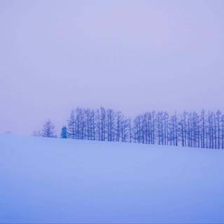 Winter minimalist Macbook wallpaper