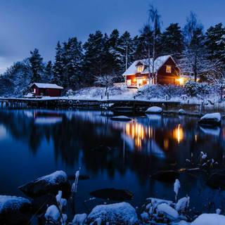 Winter freezing wallpaper