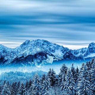 iPhone nature winter wallpaper