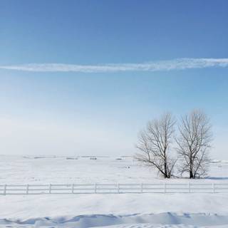 iPhone nature winter wallpaper