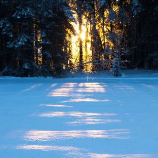 iPhone nature winter wallpaper