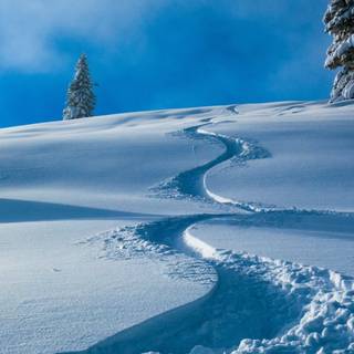 iPhone nature winter wallpaper