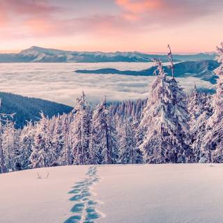 iPhone nature winter wallpaper