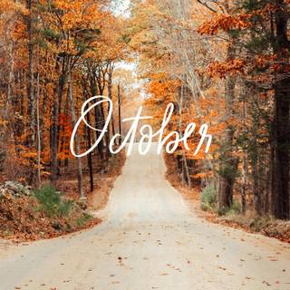 Aesthetic autumn iPad wallpaper