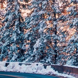 iPhone nature winter wallpaper