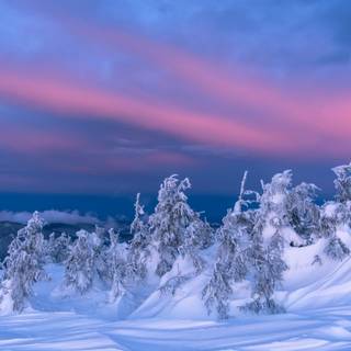 iPhone nature winter wallpaper