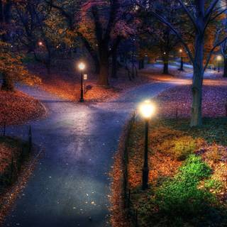 Autumn dark mode wallpaper