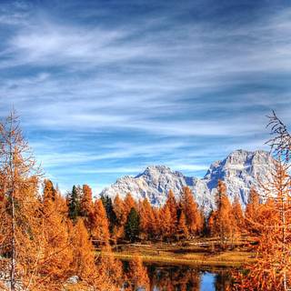 Autumn clean wallpaper