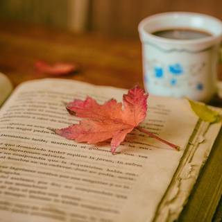 Autumn book tea wallpaper