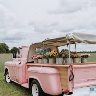 Pink trucks wallpaper