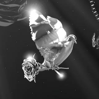 Pop Smoke 4k computer wallpaper