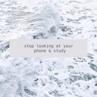 Studying iPhone wallpaper