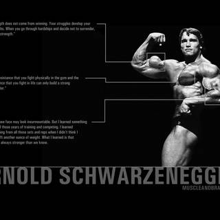 Arnold Schwarzenegger PC wallpaper