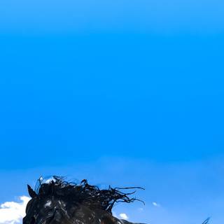 Venom The Last Dance poster wallpaper