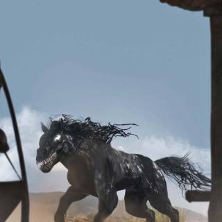 Venom horse riding wallpaper