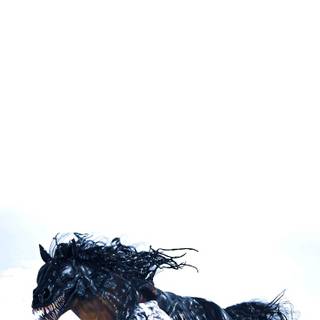 Venom horse riding wallpaper