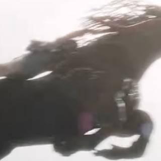 Venom horse riding wallpaper