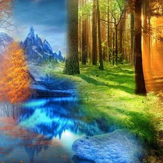 The Four Seasons wallpaper