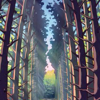 Forest drawings wallpaper