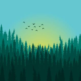 Forest drawings wallpaper