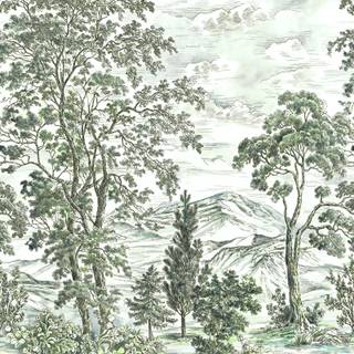 Forest drawings wallpaper