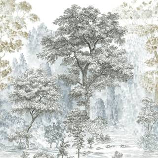 Forest drawings wallpaper