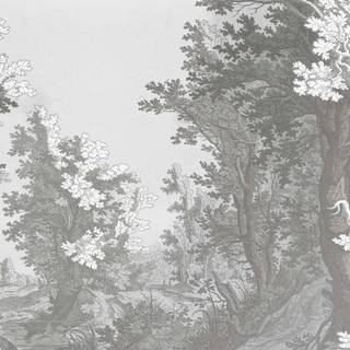 Forest drawings wallpaper