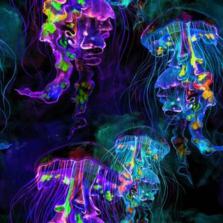 Jellyfish art wallpaper